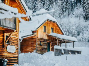 Kreischberg W12 Sankt Georgen Ob Murau